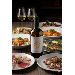 Ribolla Gialla IGT Venezia Giulia Ca'Vescovado