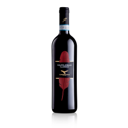 Valpolicella Classico